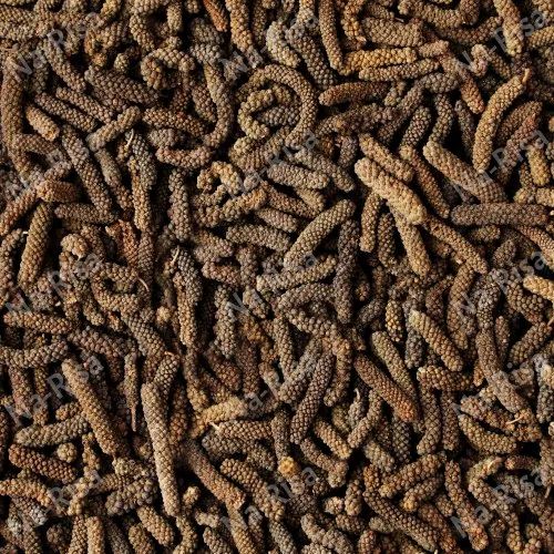 Common Organic Long Pepper